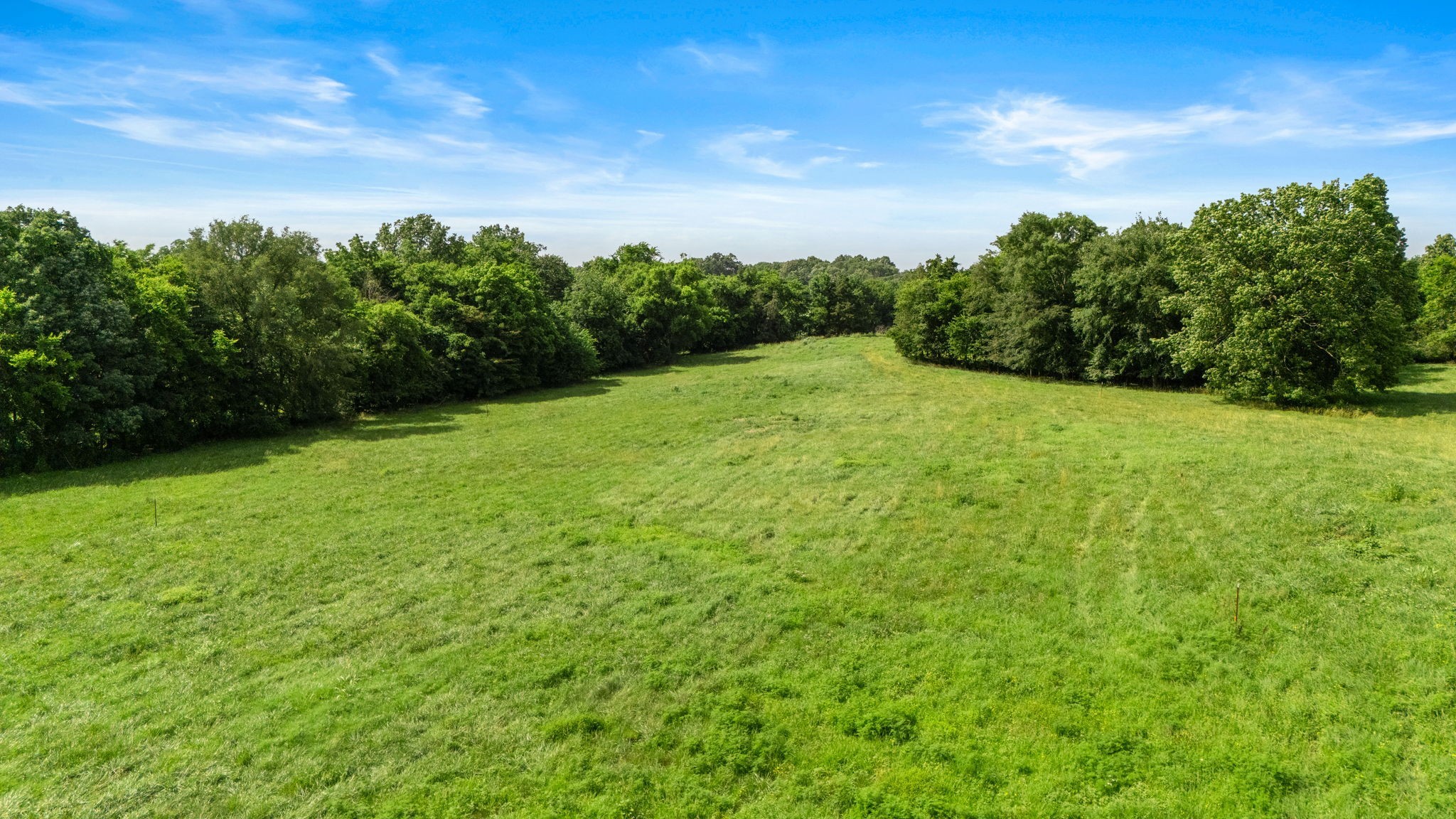 0 Knight Campground Road Shelbyville, TN 37160 - Photo 13 of 43 a view of a big yard with lots of green space
