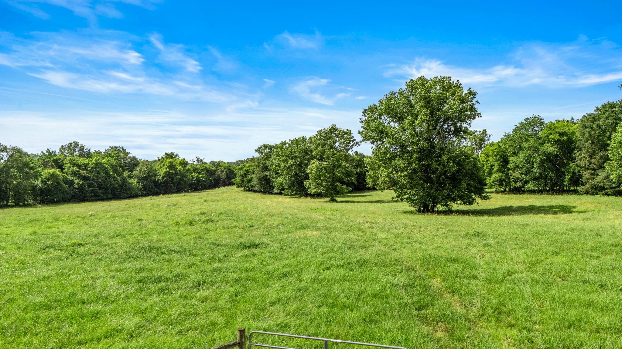 0 Knight Campground Road Shelbyville, TN 37160 - Photo 19 of 43 a view of field with trees in the background