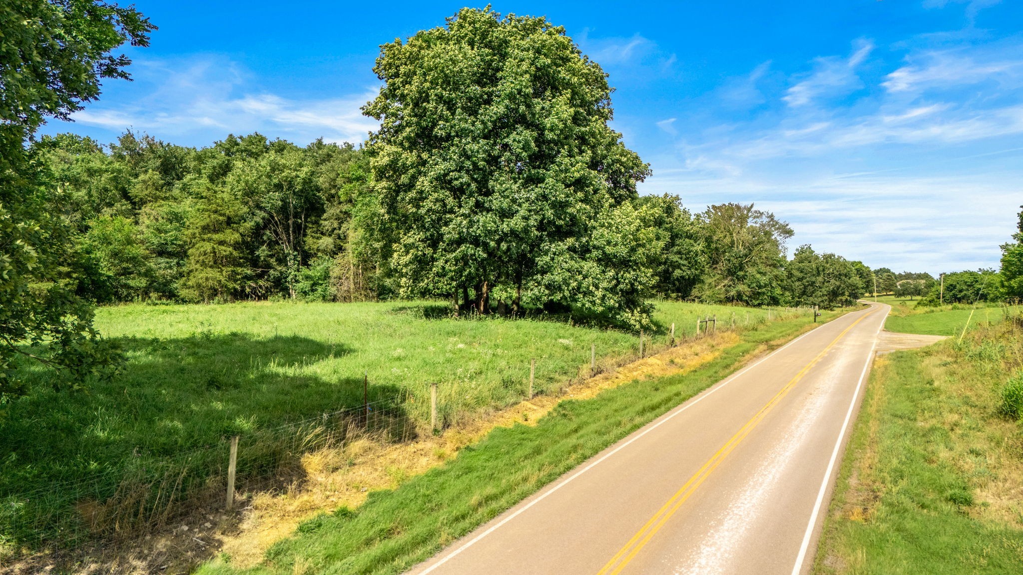 0 Knight Campground Road Shelbyville, TN 37160 - Photo 21 of 43 a view of a yard with potted plants