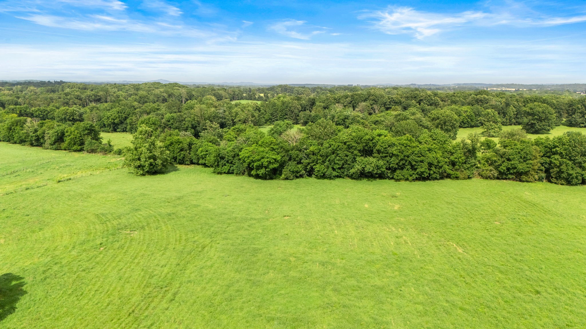 0 Knight Campground Road Shelbyville, TN 37160 - Photo 38 of 43 a view of a yard with an trees