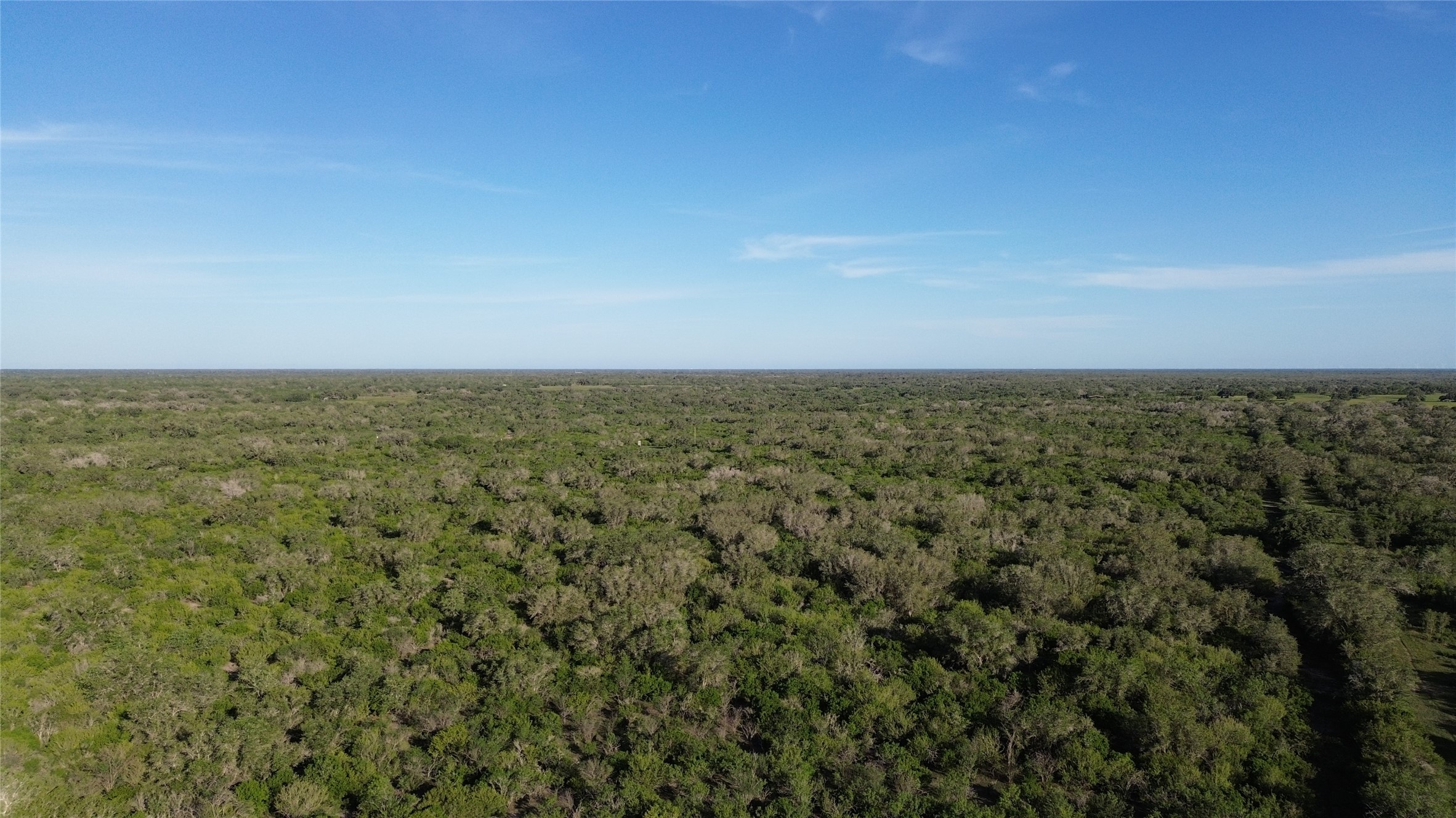 6104 Lucas Road Goliad, TX 77963 - Photo 16 of 32 view of an ocean