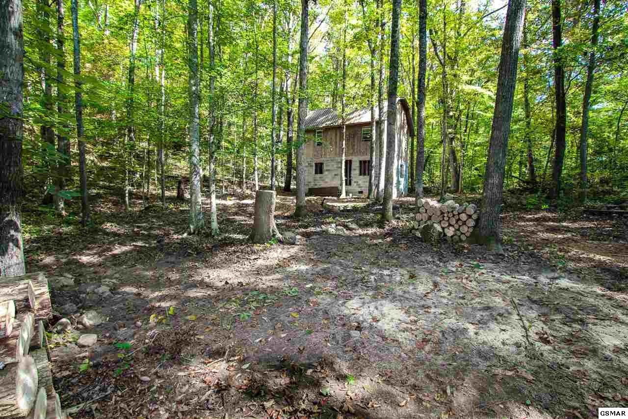 52 Maple Lane Newport, TN 37821 - Photo 19 of 30 Gallery Image 19
