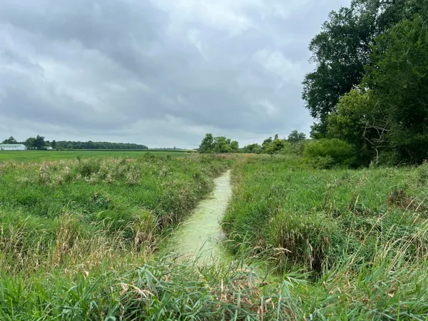 $399,500 | 10800 S Road, Waldron, MI 49288