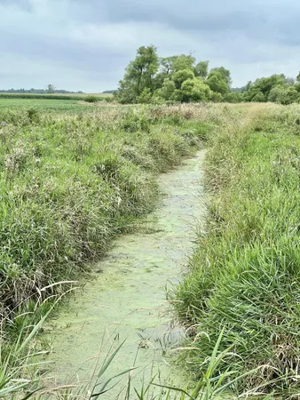 $399,500 | 10800 S Road, Waldron, MI 49288