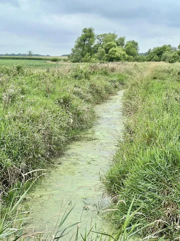 $399,500 | 10800 S Road, Waldron, MI 49288