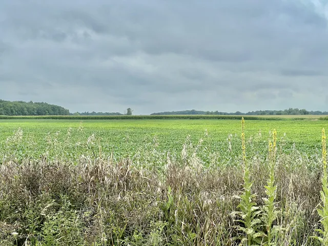 $399,500 | 10800 S Road, Waldron, MI 49288