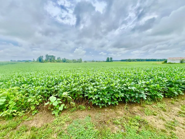 $399,500 | 10800 S Road, Waldron, MI 49288