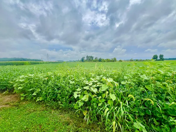 $399,500 | 10800 S Road, Waldron, MI 49288