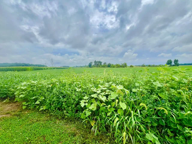 $399,500 | 10800 S Road, Waldron, MI 49288