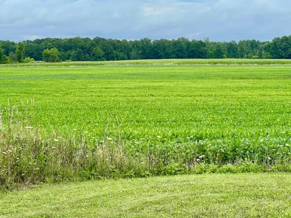 $399,500 | 10800 S Road, Waldron, MI 49288