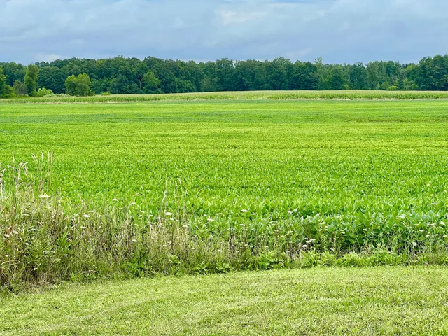 $399,500 | 10800 S Road, Waldron, MI 49288