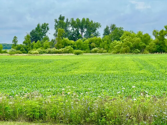 $399,500 | 10800 S Road, Waldron, MI 49288