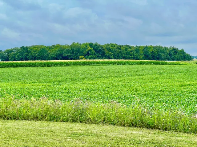 $399,500 | 10800 S Road, Waldron, MI 49288