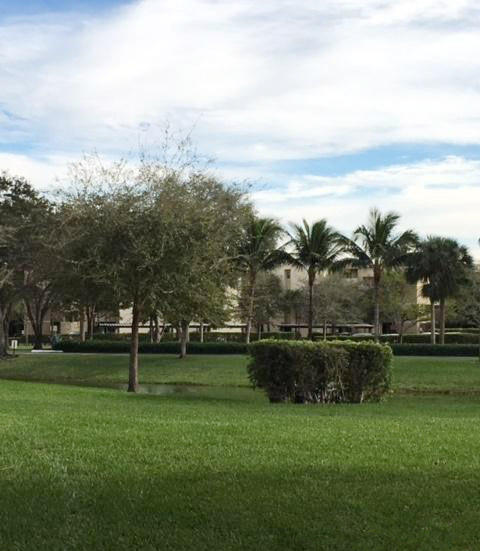 5800 Camino Del Sol, Unit 103 Boca Raton, FL 33433 - Photo 22 of 25 Lots of Green Space