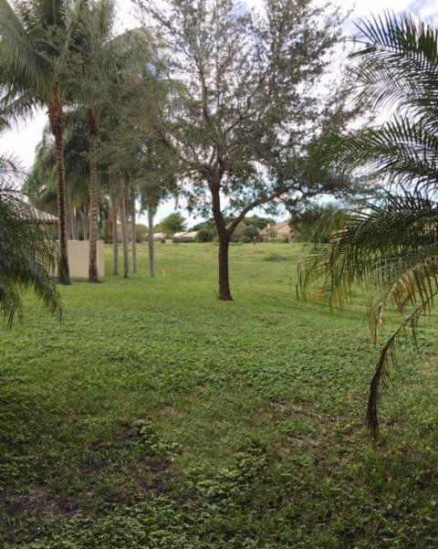 5800 Camino Del Sol, Unit 103 Boca Raton, FL 33433 - Photo 23 of 25 Green space