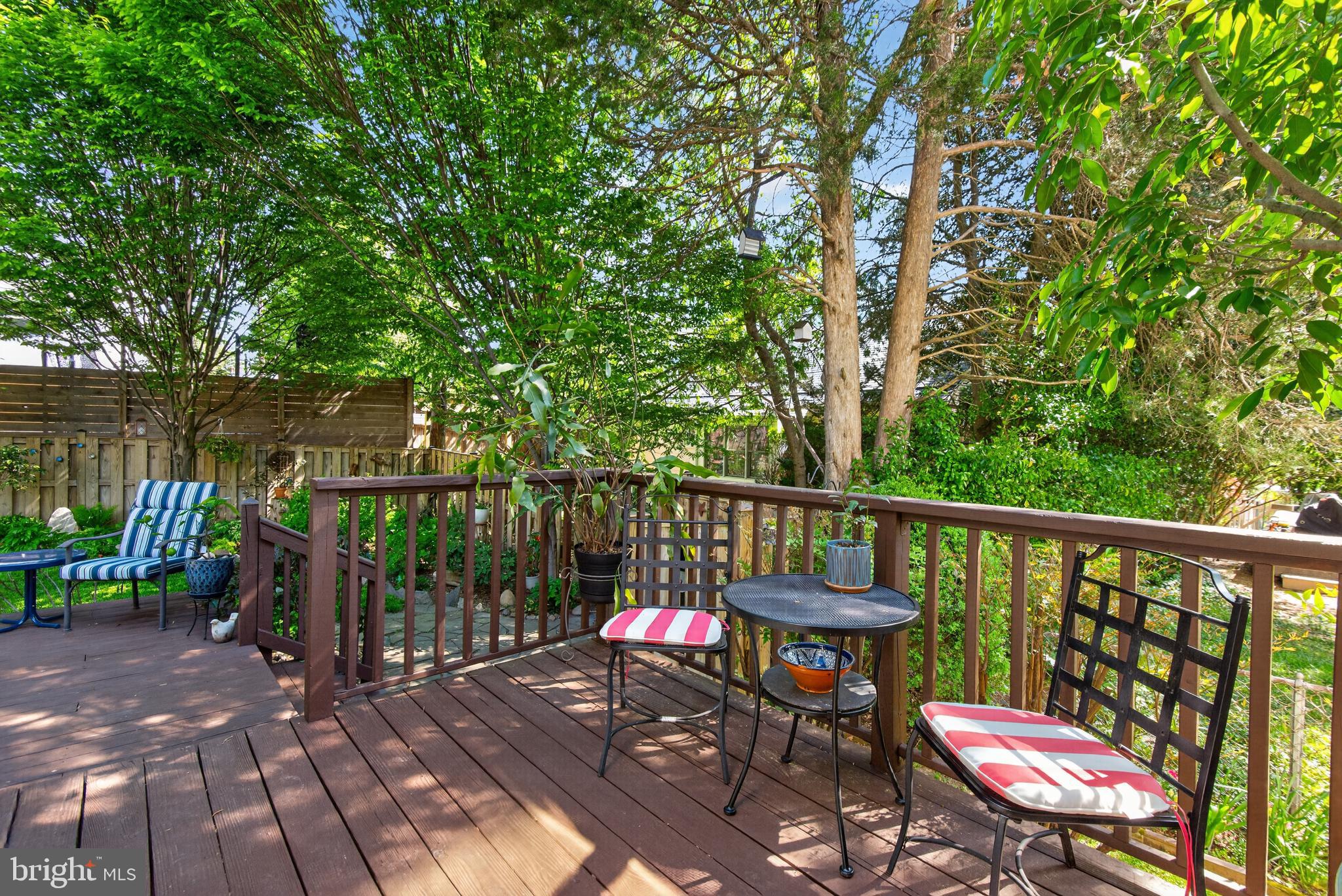 203 Baden Street Silver Spring, MD 20901 - Photo 39 of 48 Gallery Image 39