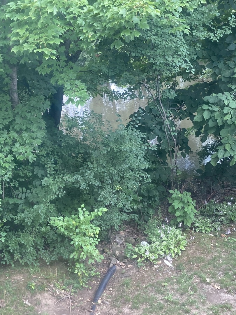 1005 Landing Road Naperville, IL 60540 - Photo 25 of 27 a view of a forest with a tree