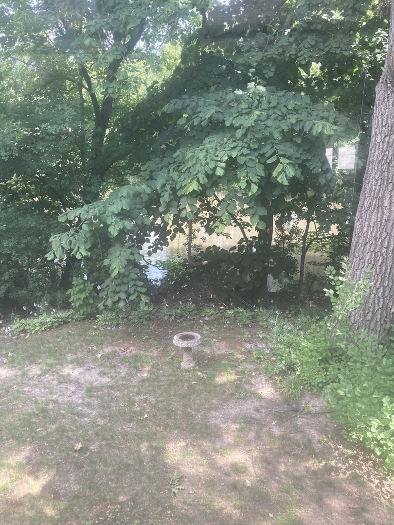 1005 Landing Road Naperville, IL 60540 - Photo 6 of 27 a view of yard