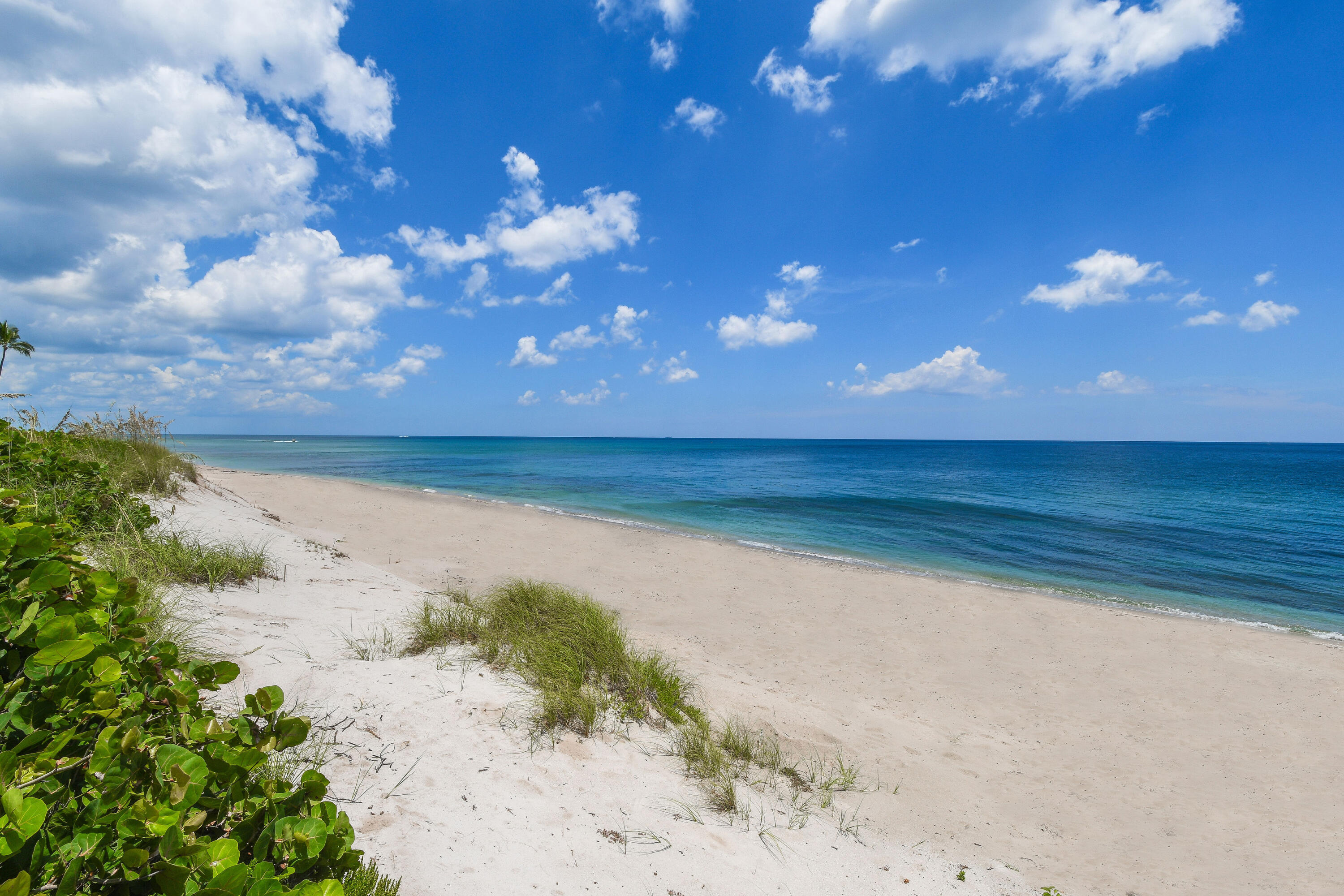 200 Intracoastal Place, Unit 404 Jupiter, FL 33469 - Photo 43 of 95 Ocean(2)
