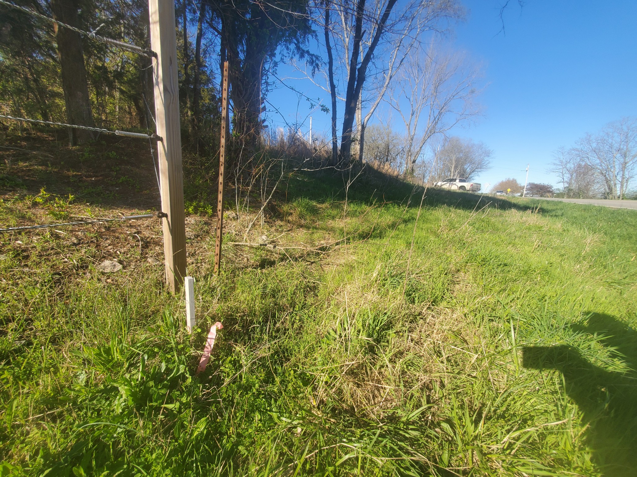775 Honeysuckle Lane Road Bethpage, TN 37022 - Photo 6 of 20 Gallery Image 6