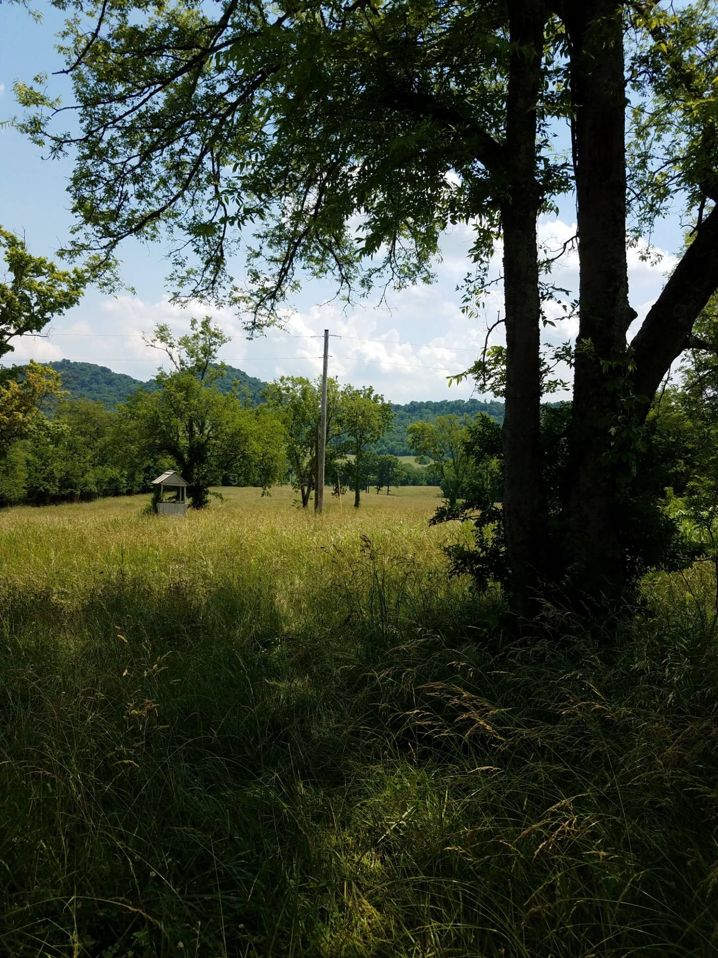775 Honeysuckle Lane Road Bethpage, TN 37022 - Photo 7 of 20 Gallery Image 7