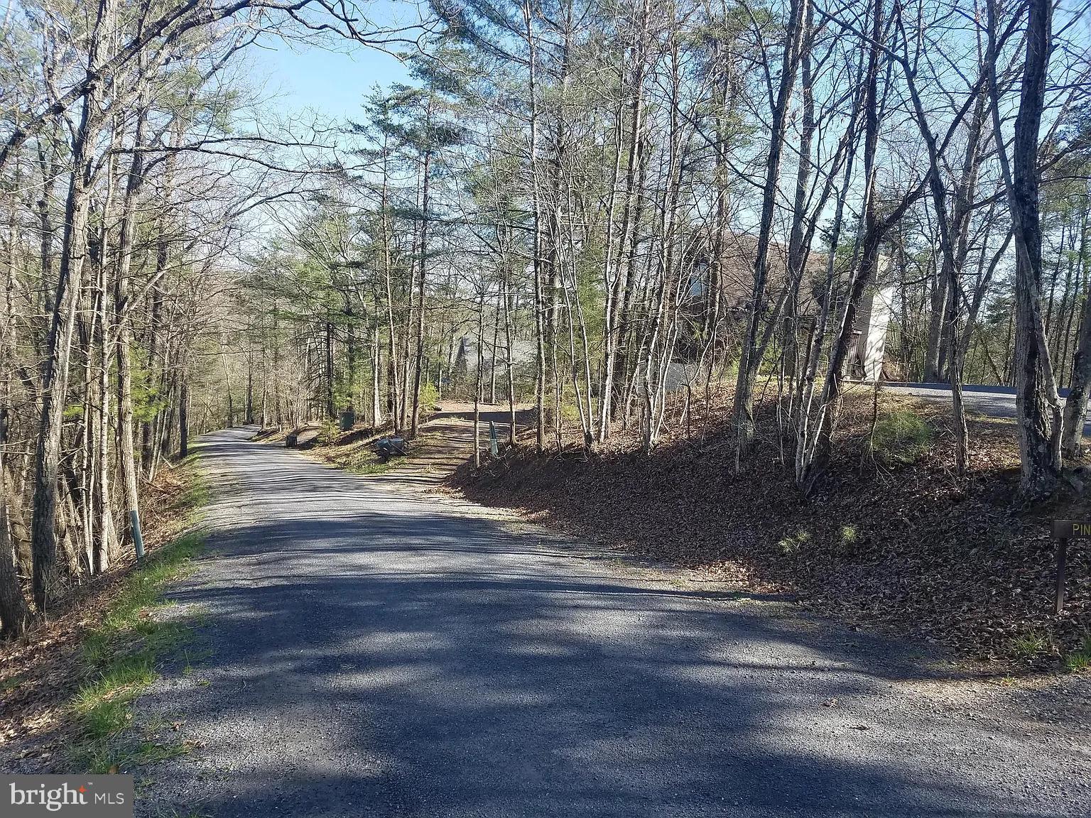 a view of outdoor space with deck and tree
