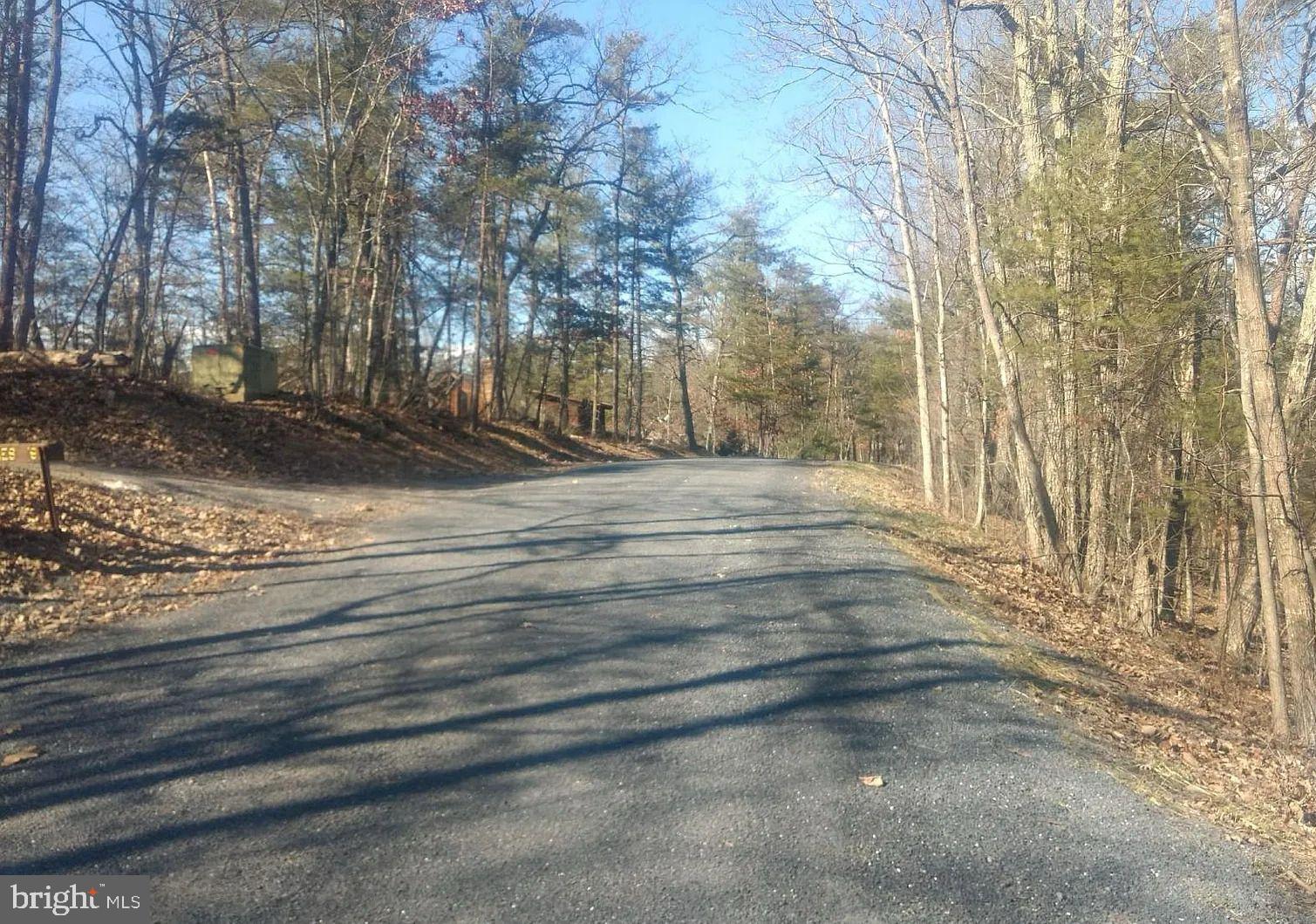 0 Lee Road Basye, VA 22810 - Photo 2 of 8 a view of backyard space
