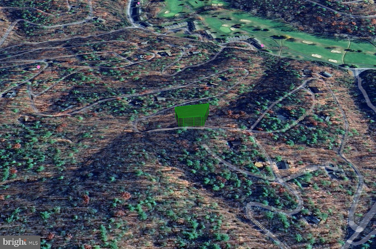 0 Lee Road Basye, VA 22810 - Photo 6 of 8 a aerial view of a backyard