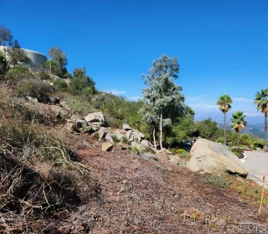 a view of a yard with a tree