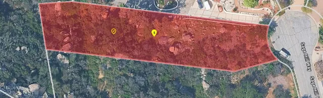 a view of a garden with a tree