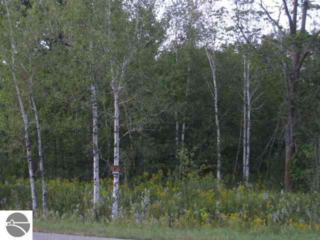 11225 West Fletcher Road Fife Lake, MI 49633 - Photo 5 of 11 1696133-4.JPG