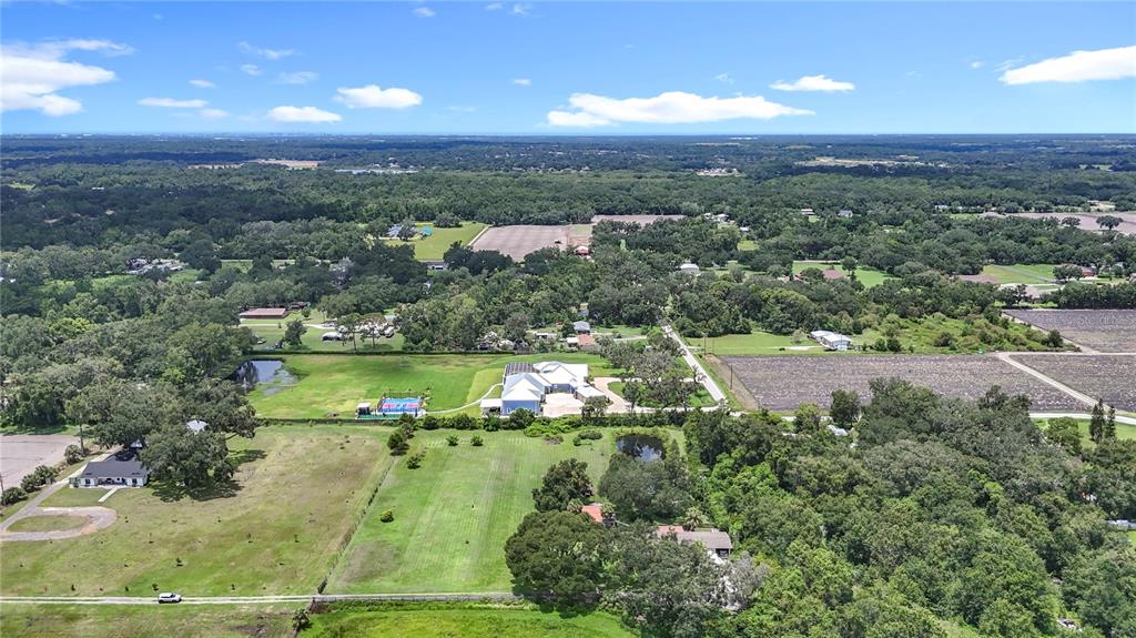 3804 Gallagher Road Dover, FL 33527 - Photo 3 of 96