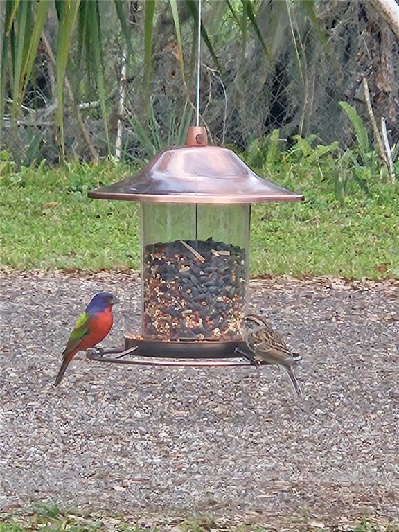 3804 Gallagher Road Dover, FL 33527 - Photo 52 of 96