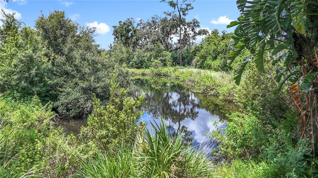 3804 Gallagher Road Dover, FL 33527 - Photo 86 of 96