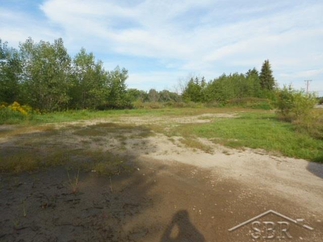V/l Midland Road Freeland, MI 48623 - Photo 1 of 10