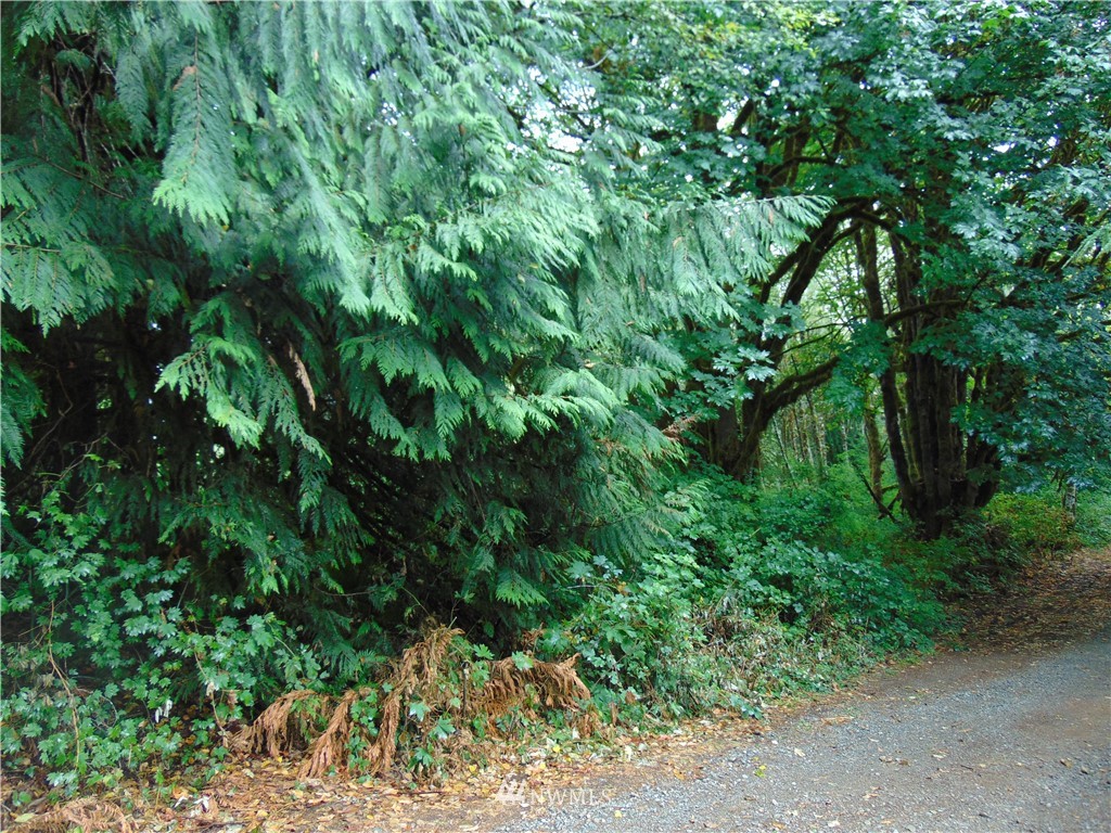 5-lot Reller Road Shelton, WA 98584 - Photo 1 of 15 Gallery Image 1