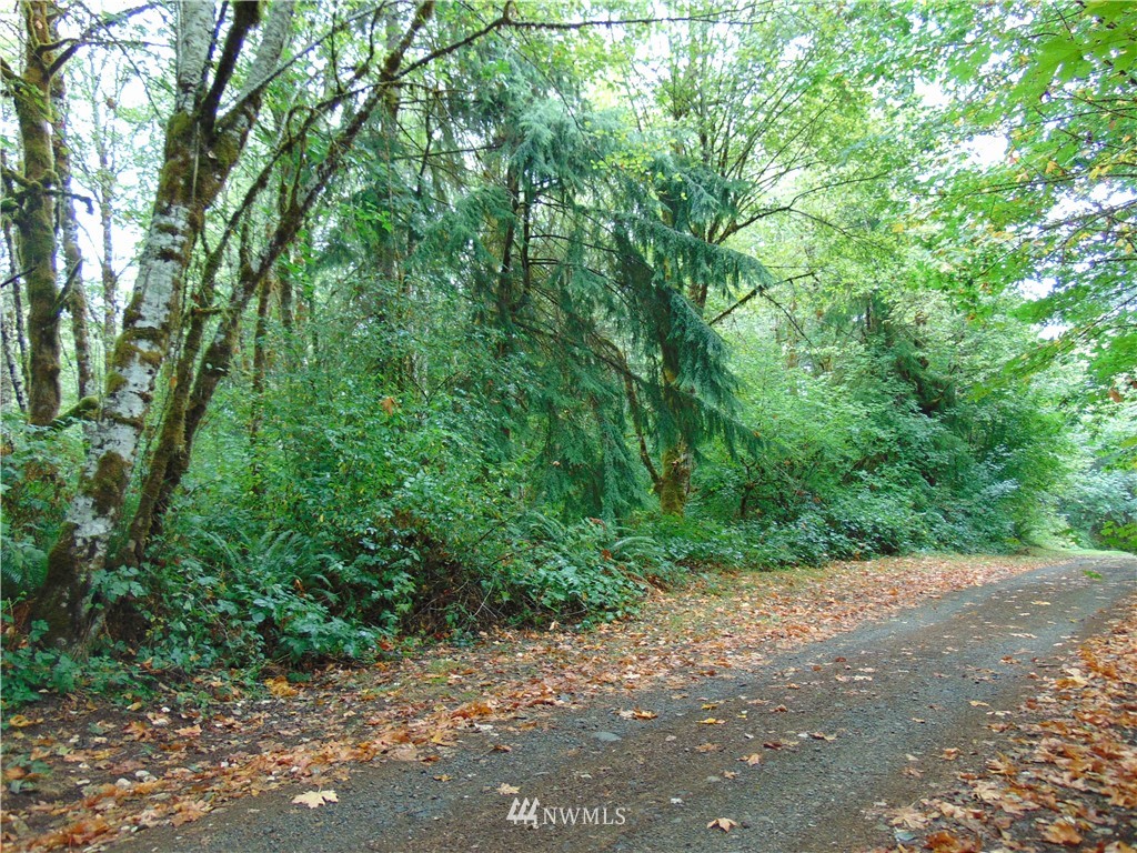 5-lot Reller Road Shelton, WA 98584 - Photo 14 of 15 Gallery Image 14