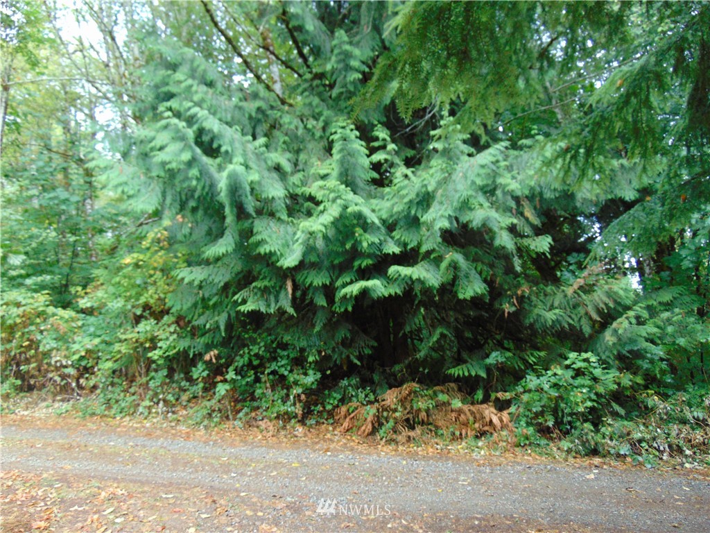 5-lot Reller Road Shelton, WA 98584 - Photo 3 of 15 Gallery Image 3