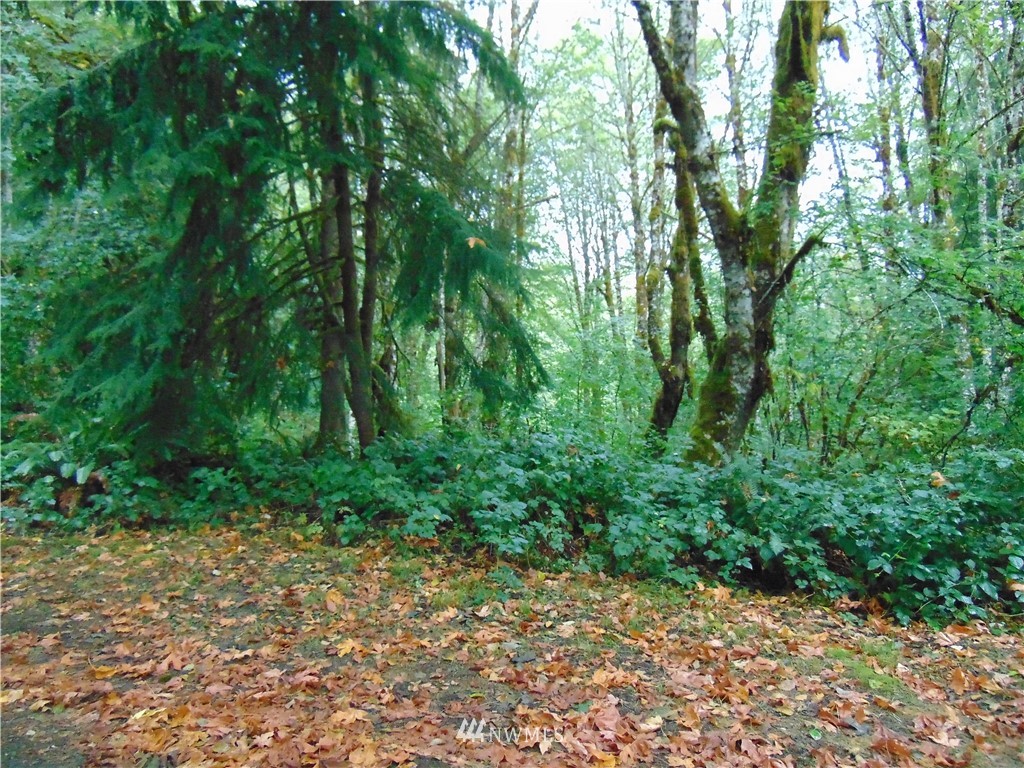5-lot Reller Road Shelton, WA 98584 - Photo 8 of 15 Gallery Image 8