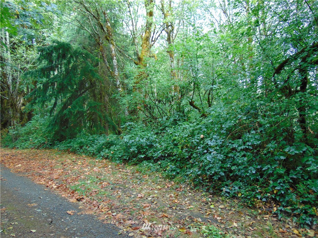 5-lot Reller Road Shelton, WA 98584 - Photo 10 of 15 Gallery Image 10