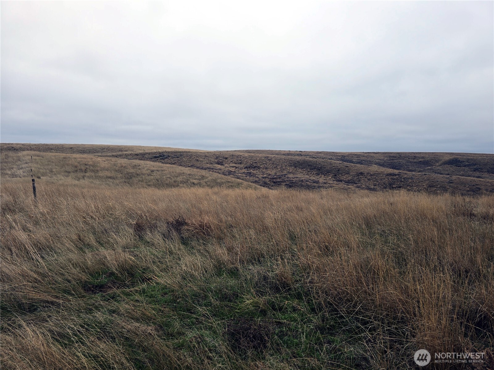 4200 Wadsworth Road Washtucna, WA 99371 - Photo 8 of 28