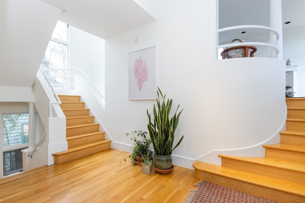 50 Bellingham Road Brookline, MA 02467 - Photo 9 of 31 a view of a room with wooden floor and a potted plant