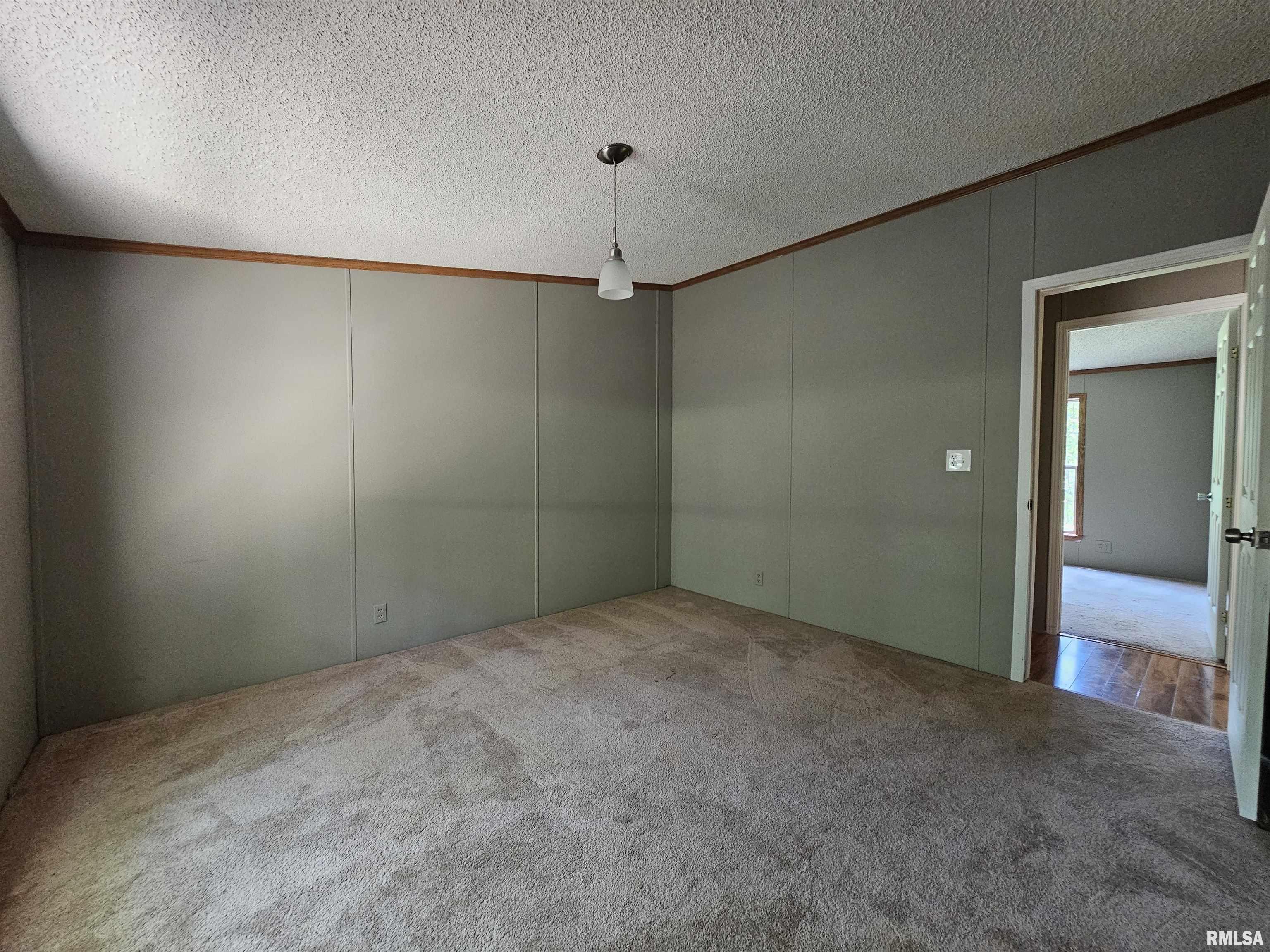 1119 Firecracker Road Jacksonville, IL 62650 - Photo 36 of 48