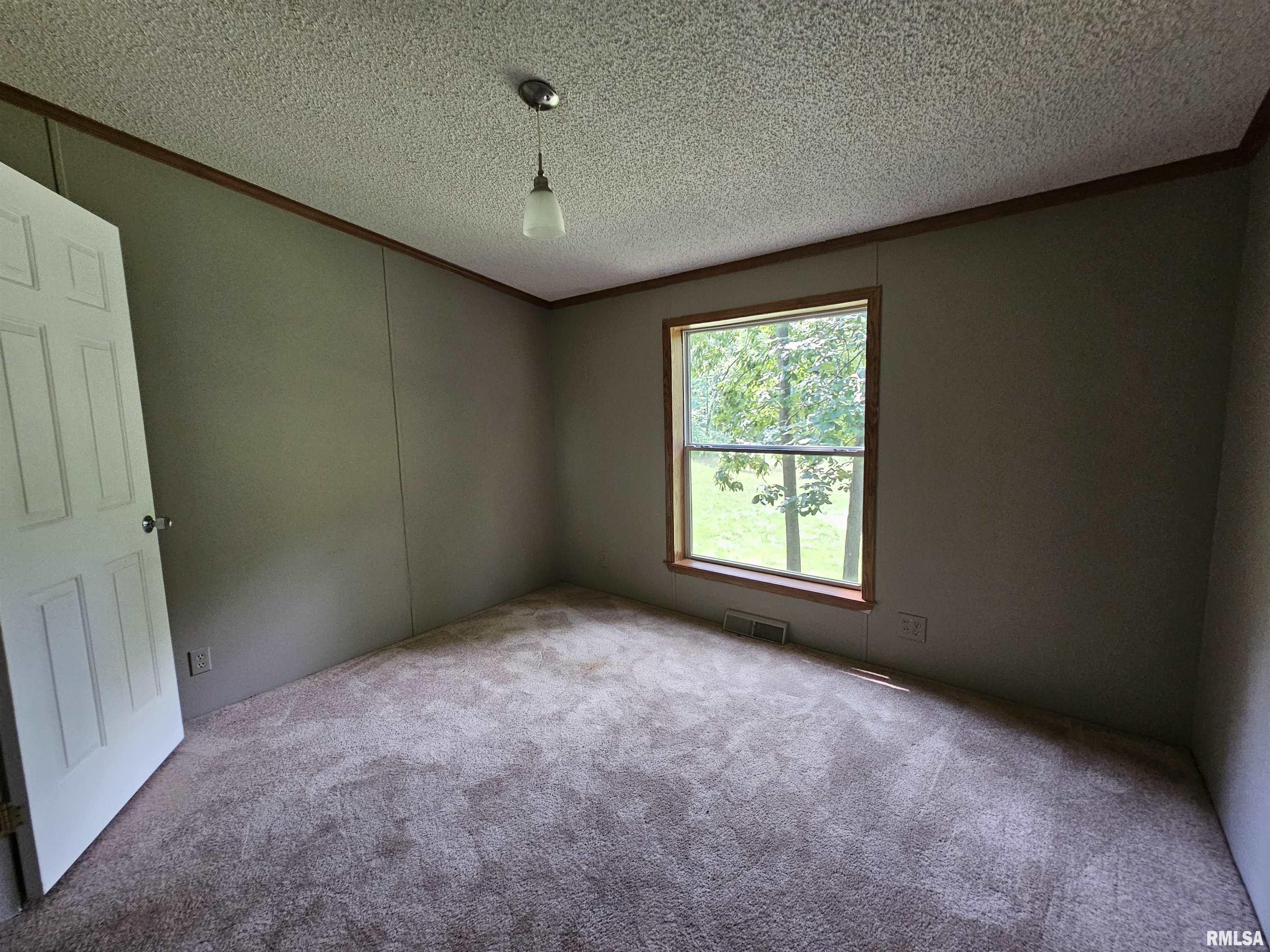 1119 Firecracker Road Jacksonville, IL 62650 - Photo 42 of 48