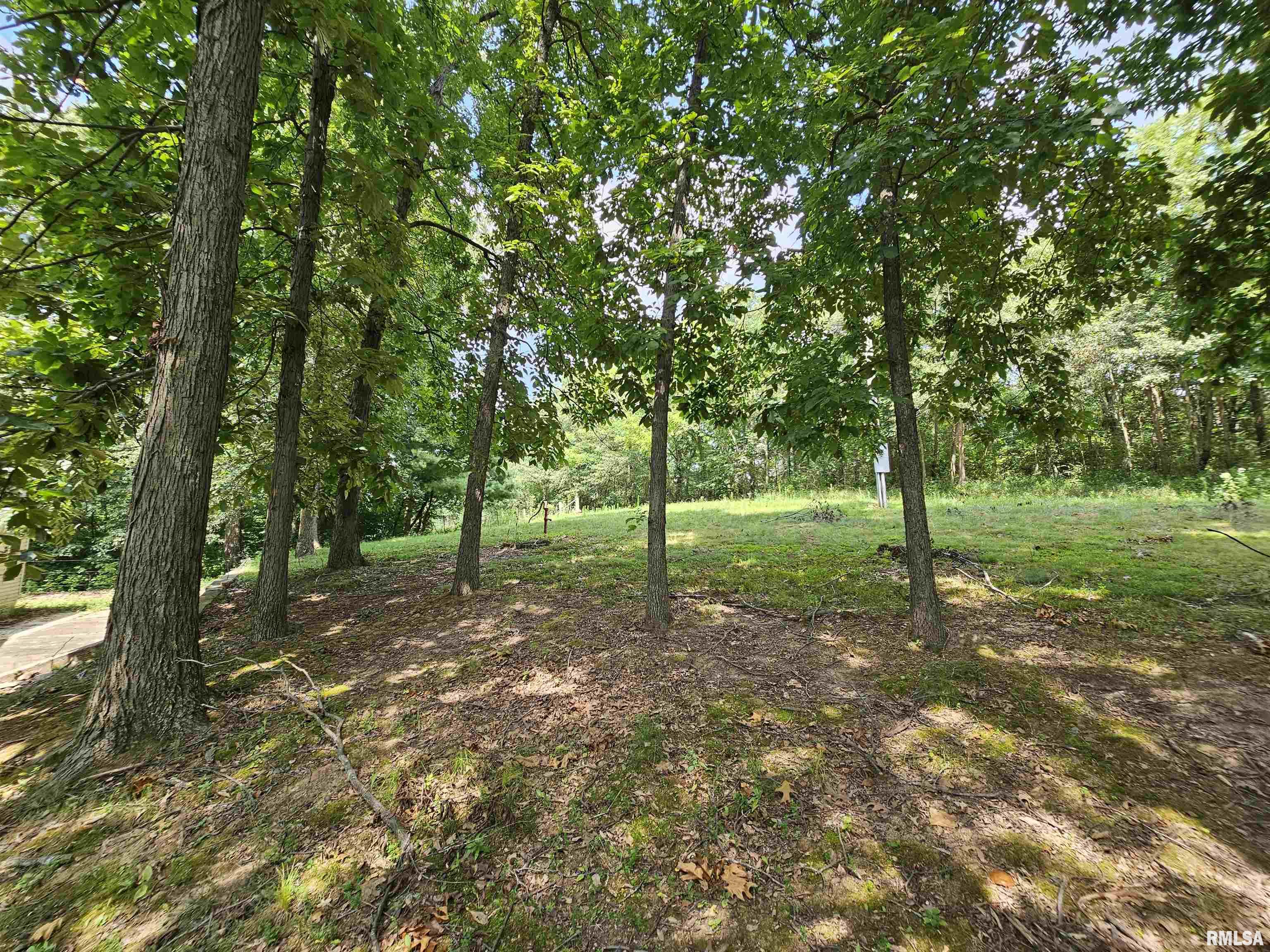 1119 Firecracker Road Jacksonville, IL 62650 - Photo 48 of 48
