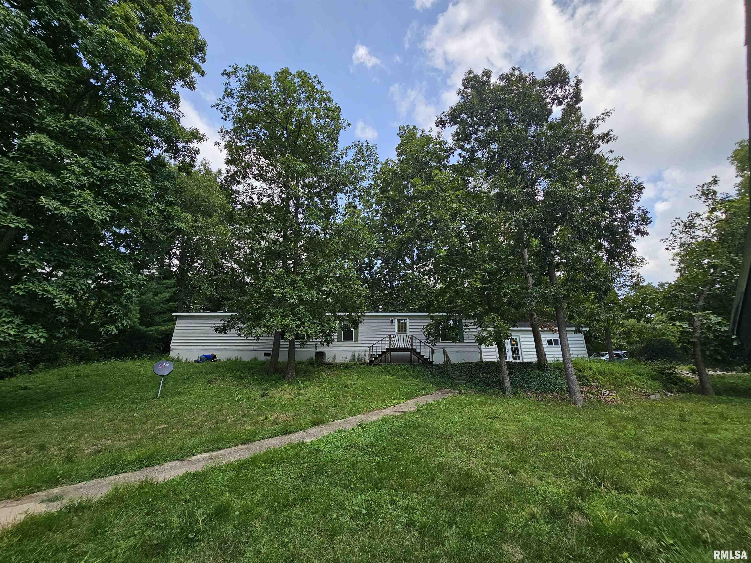 1119 Firecracker Road Jacksonville, IL 62650 - Photo 6 of 48