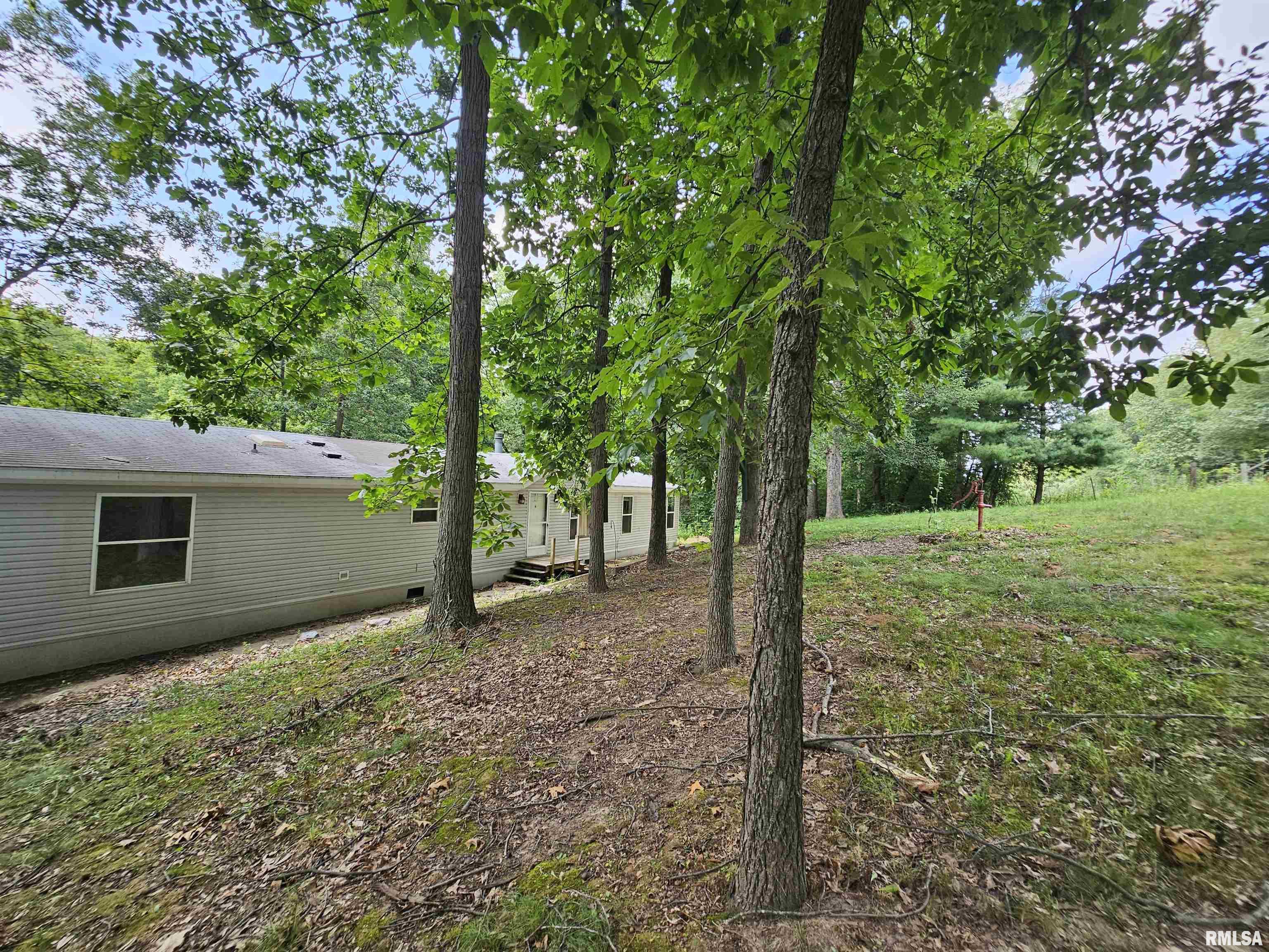 1119 Firecracker Road Jacksonville, IL 62650 - Photo 9 of 48