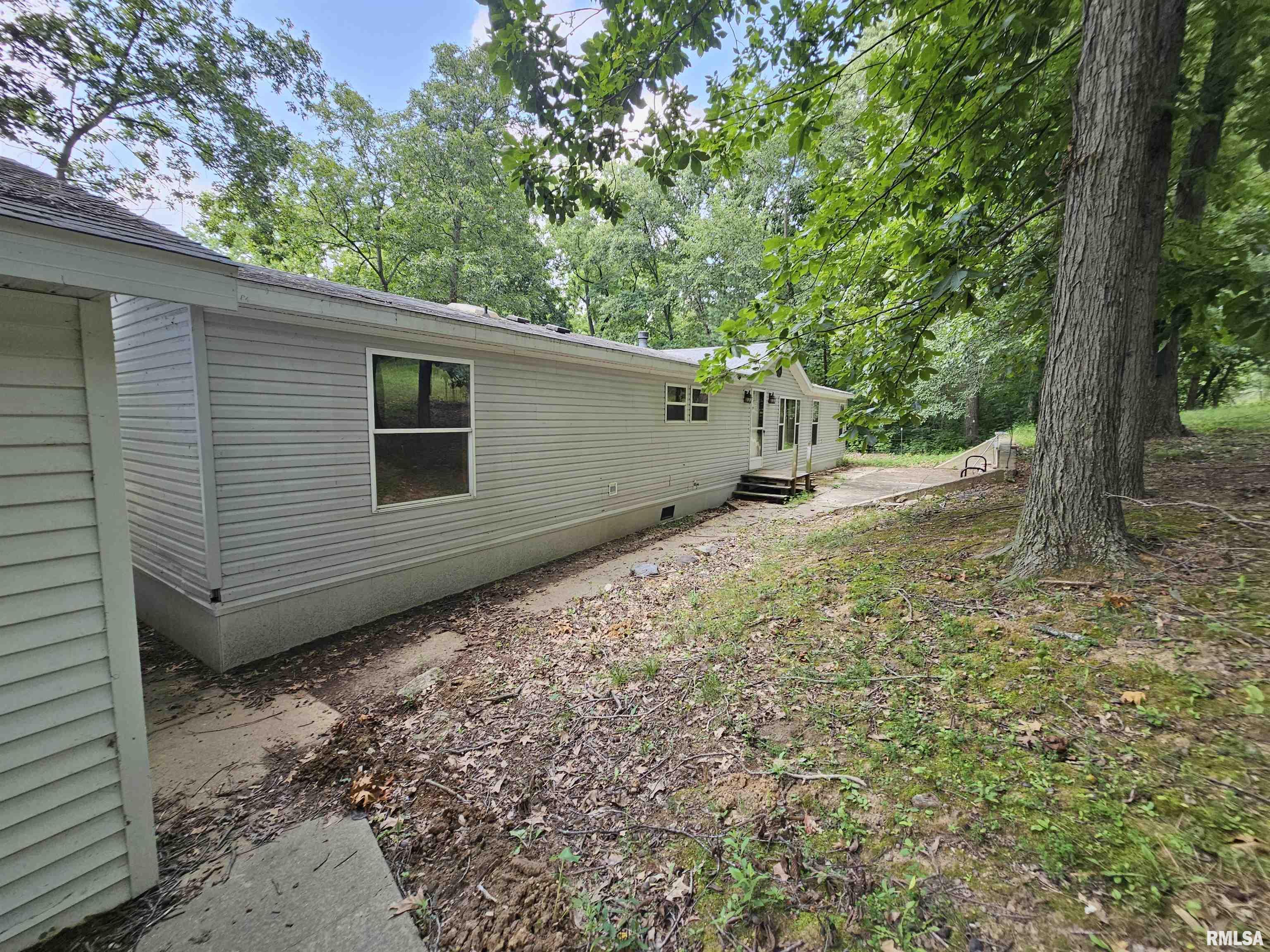 1119 Firecracker Road Jacksonville, IL 62650 - Photo 10 of 48