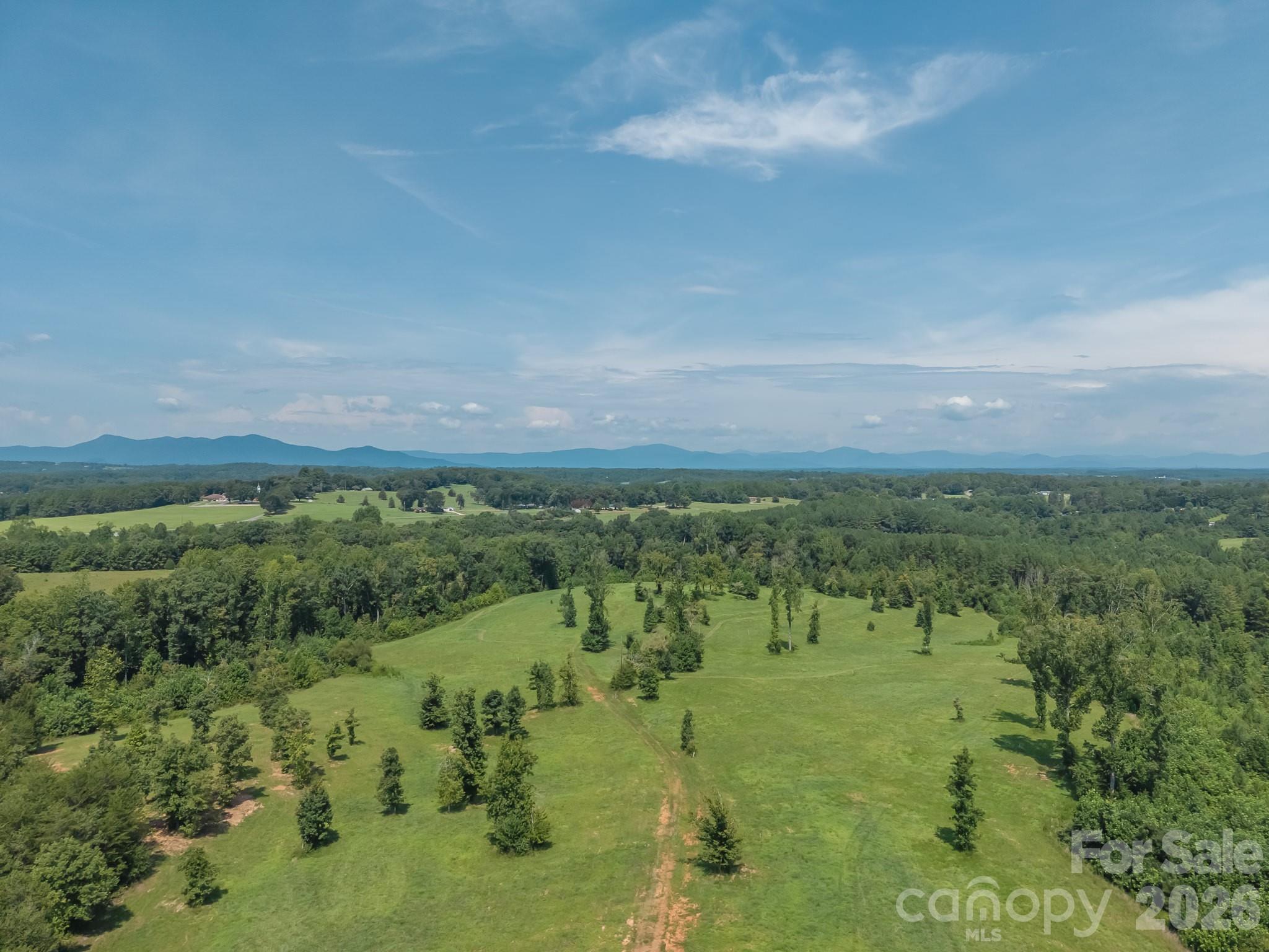 473 McEntire Road Tryon, NC 28782 - Photo 15 of 22 Gallery Image 15