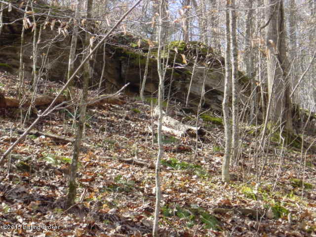 0 South End Road Greensburg, KY 42743 - Photo 6 of 12 118.JPG